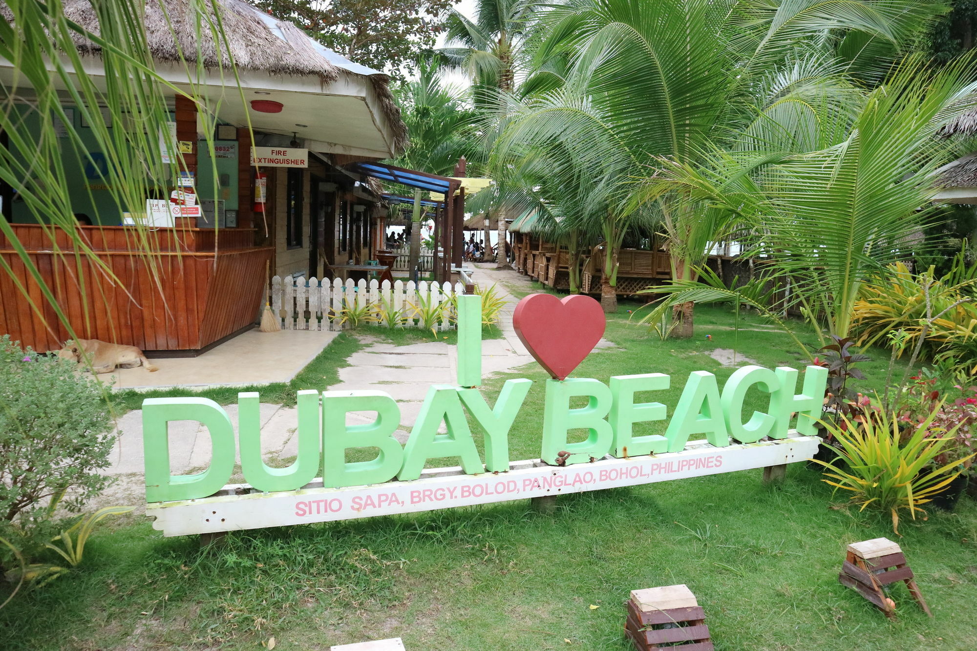 Dubay Panglao Beachfront Resort Libaong Exteriér fotografie